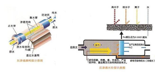 全自動RO深夜看片免费